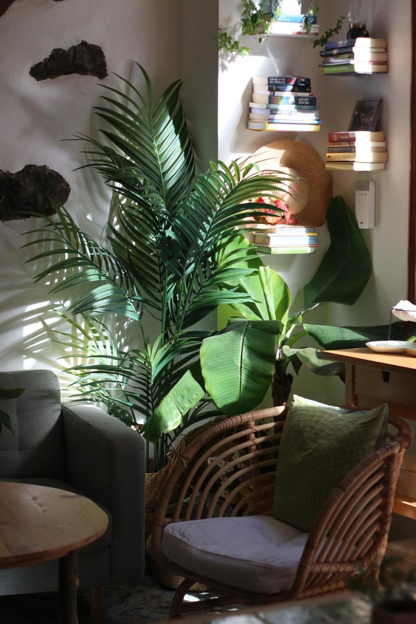 Banana Garden La Palma Hotel Санта Круз де Ла Палма Екстериор снимка